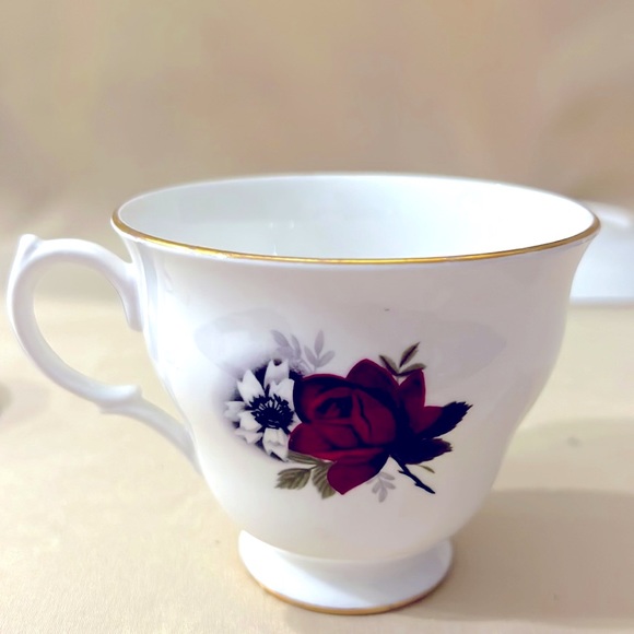 Burgundy Rose Tea Cup and Saucer Queen Anne Ridgway Potteries Tea Set E1216 - Picture 5 of 5